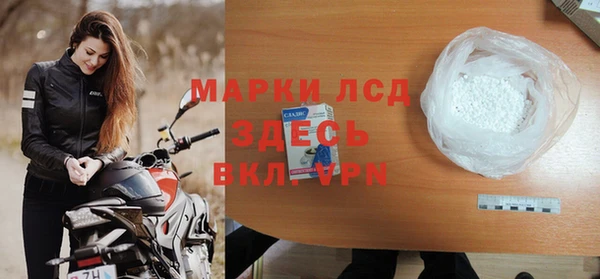 стафф Бородино