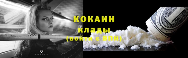 стафф Бородино