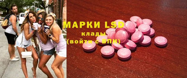 стафф Бородино