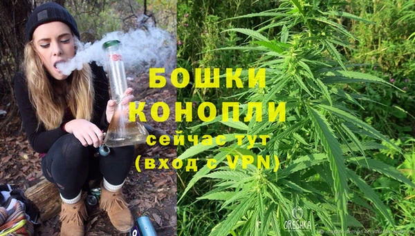 стафф Бородино